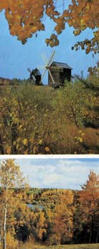 Ветряные мельницы. Справа - столбовка на низком реже из деревни Большая Шалга Каргопольского района. Конец XIX века. Осень в музее